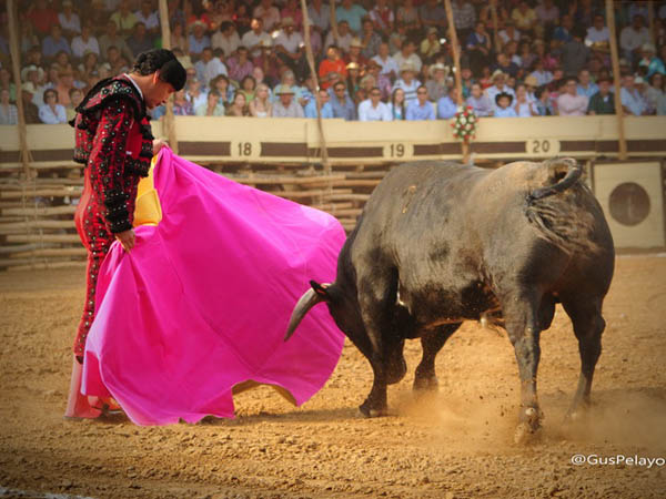 Las ver�nicas de Ferm�n