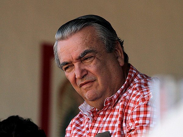 Paviche, observando la tienta