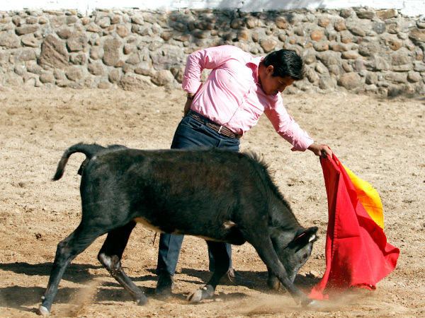 Emple�ndose en la tela