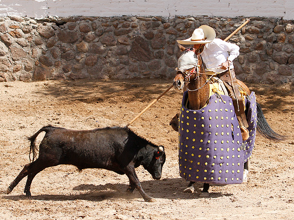 Elegancia de un maestro tentador