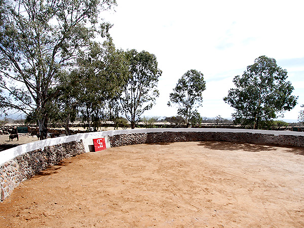 Plaza de tientas de San Mateo