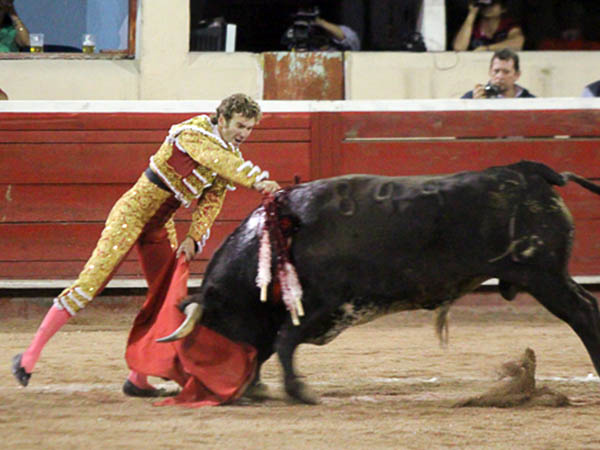 Pureza en la suerte suprema