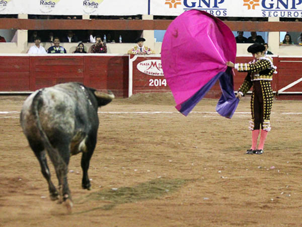 Zapopina de Joselito