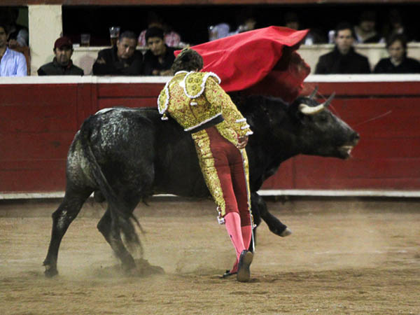 Desahogando por alto