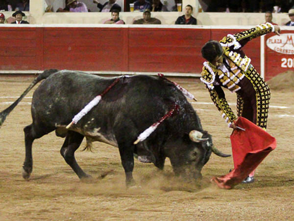 Los belfos en la arena