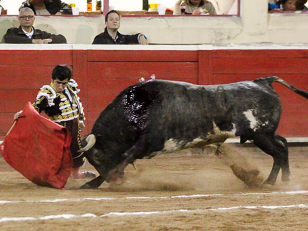 Humillado en la embestida