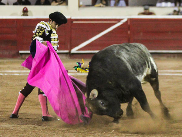 Comienza la lidia ordinaria