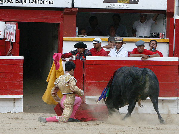 Regresando a los corrales