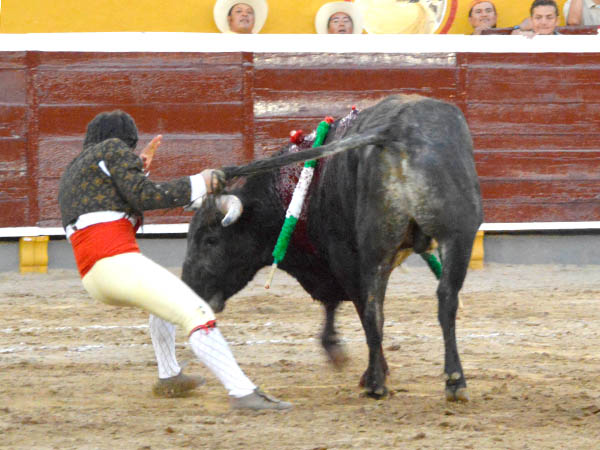 El valor de Ren� Tirado