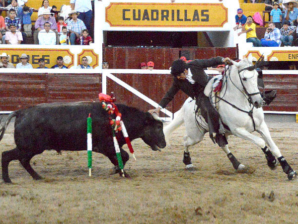 Desplante en los medios