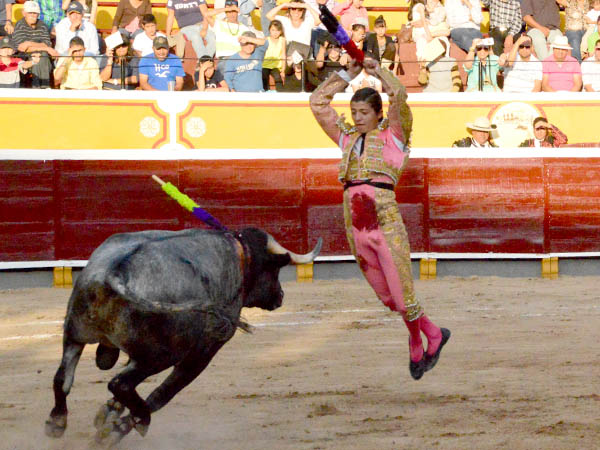 El vuelo de G�mez Vega