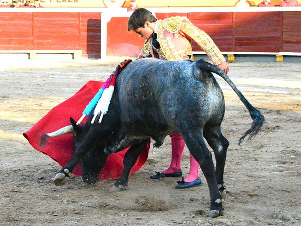 Llev�ndolo templado