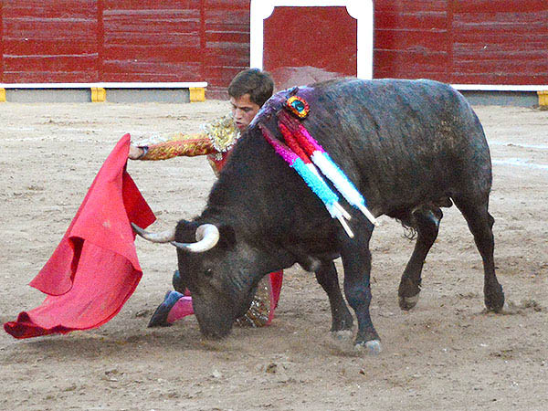 Sin tocar la franela