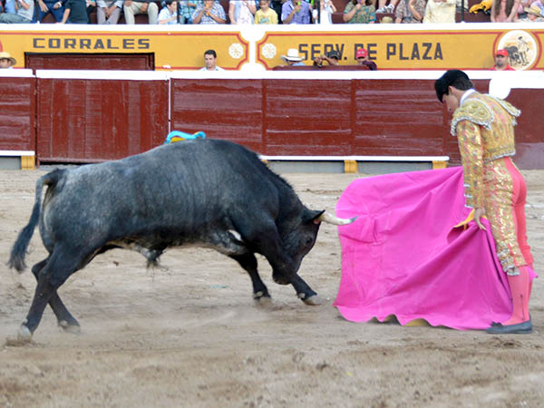 Los vuelos del capote