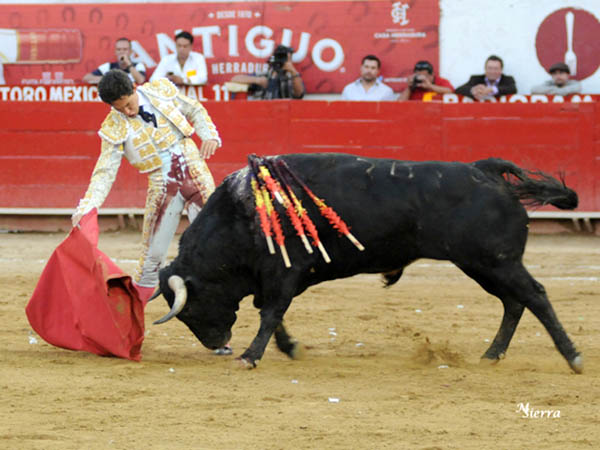 Ante una afici�n que lo arropa