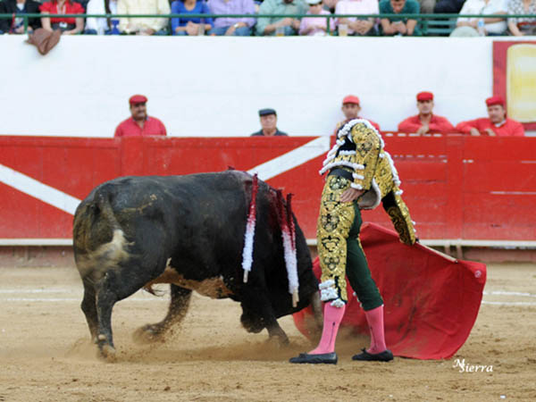 Templando las embestidas