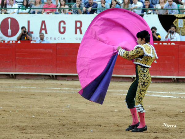 Vistoso en el capote