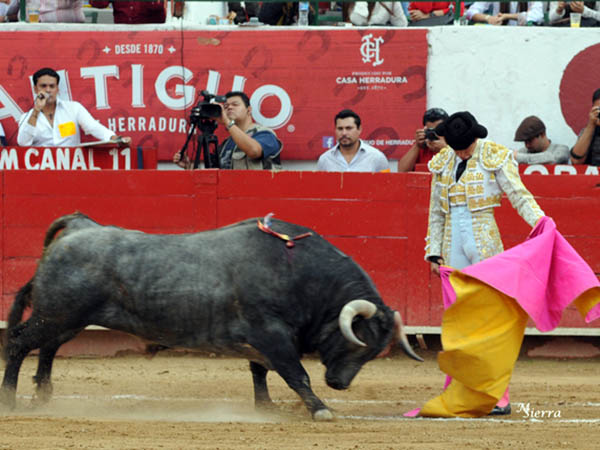 Desmayando los brazos