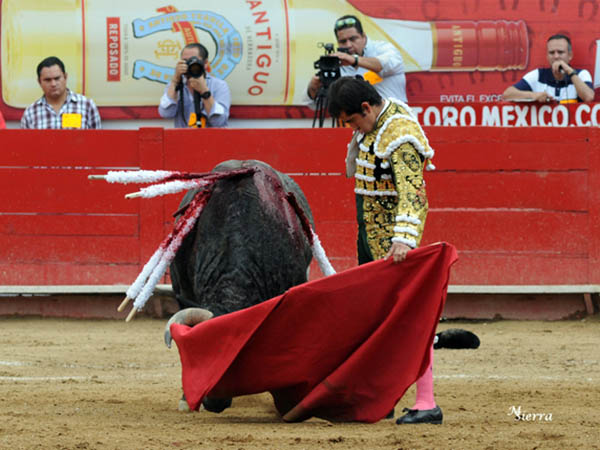 Tirando del ejemplar