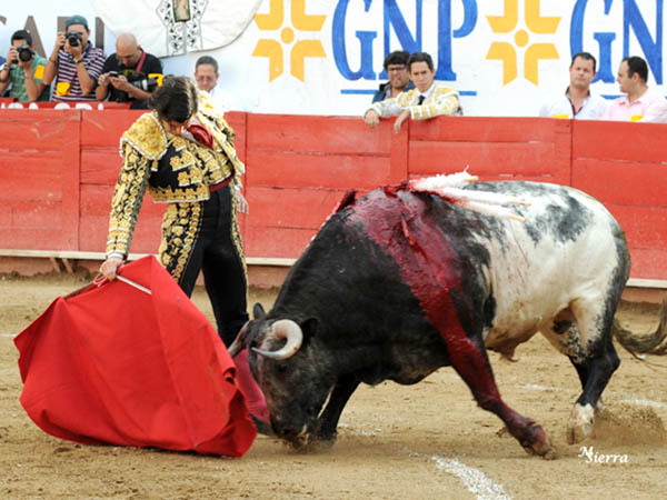 Expresi�n corporal