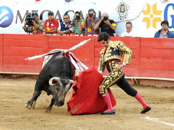 Calibrando al berrendo