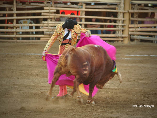 Chicuelinas jerezanas