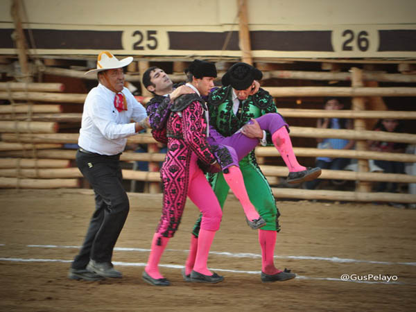 Muestras de compa�erismo