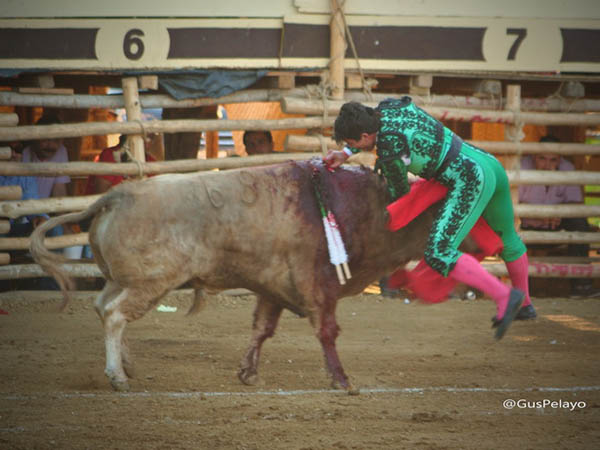 Evocando a G�mez Escorial