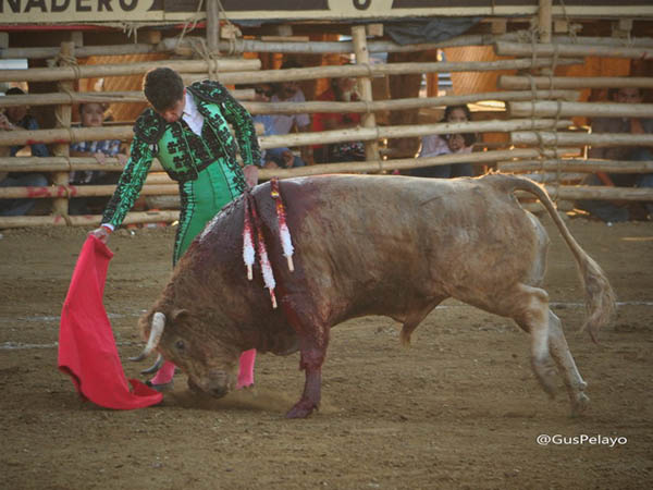 Templando y mandando