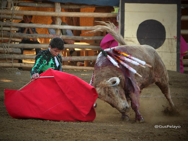Los doblones de inicio