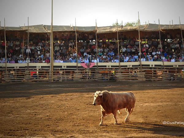 Due�o de la situaci�n