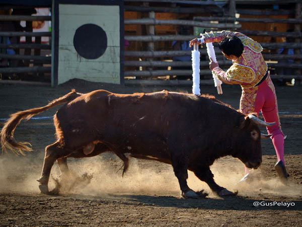 Piruetas en los rehiletes