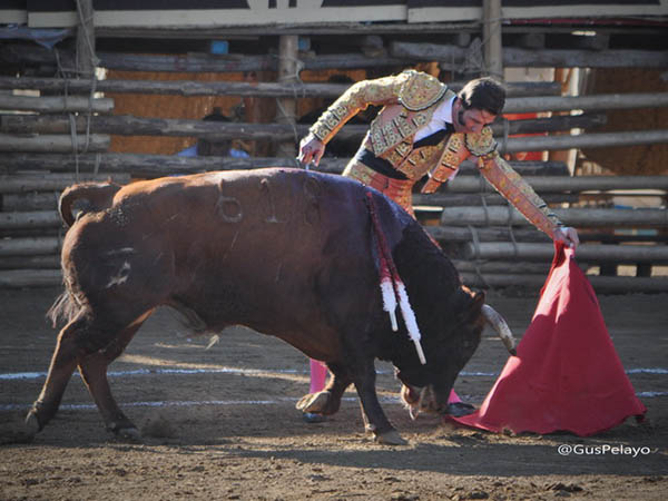 El casta�o al natural