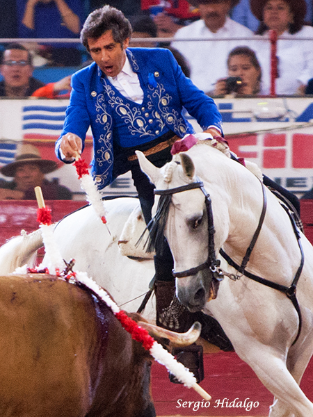 Pirata, un gran caballo