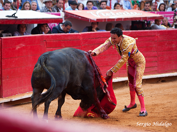 Hasta la empu�adura