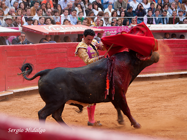 Finalizando su faena