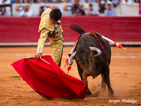 Complicada embestida