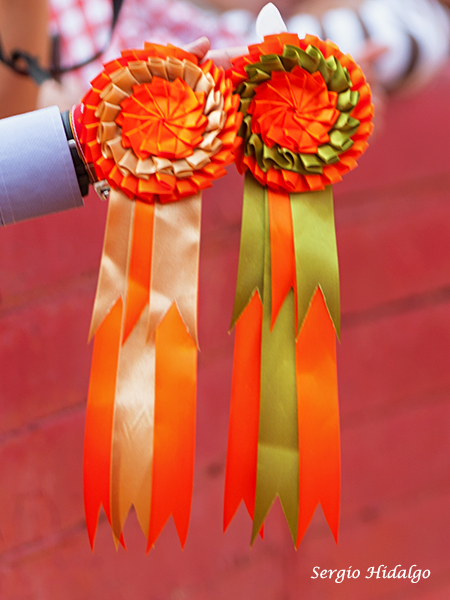 Julio Delgado y Lebrija