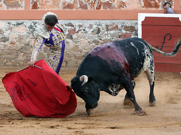 Toreo a pi�s juntos