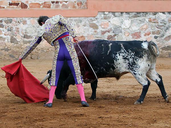 Calidad en la embestida