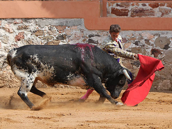 Primeros muletazos