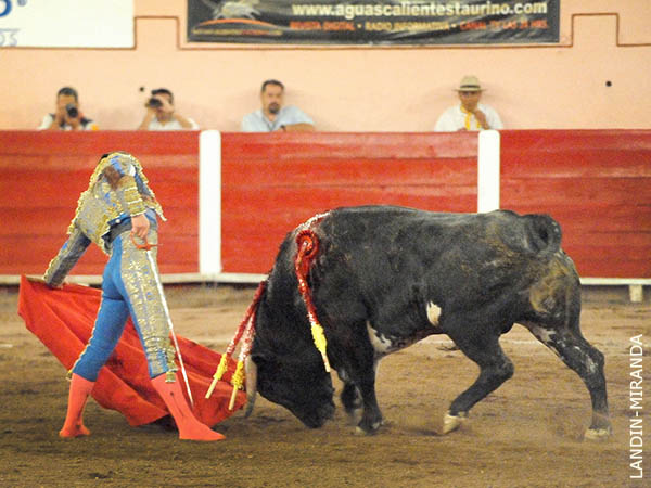 Calidad en la embestida