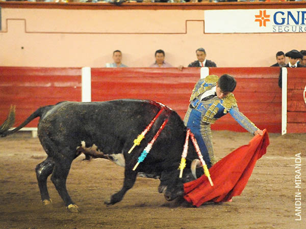 Lo meti� a la muleta