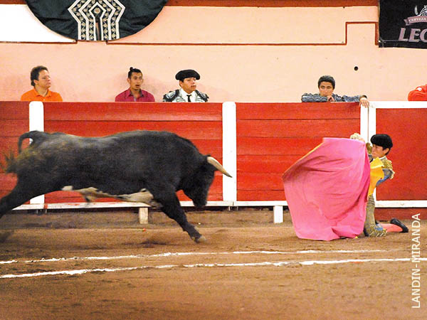 El saludo de Julio Ricaurte