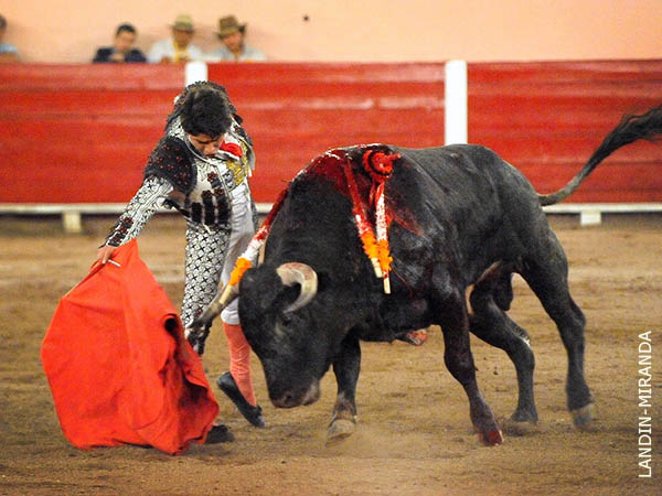 Recorrido del ejemplar