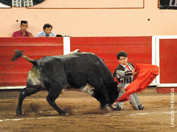 Pr�logo rodilla en tierra