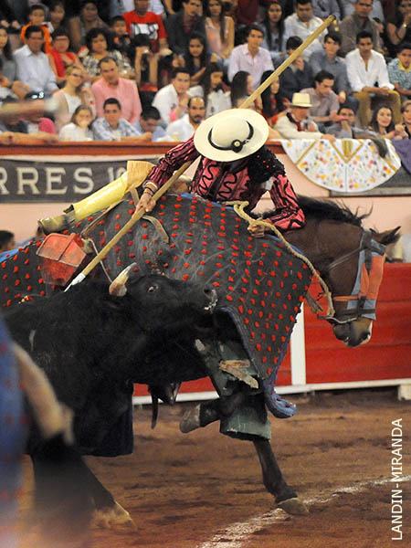 Puya de Ruso Delgado