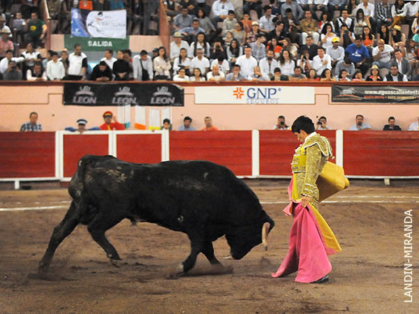 Chicuelinas de Joel Arturo