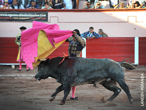 Variedad en el quite