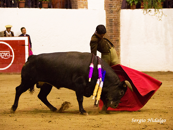 Sergio Flores, torerazo